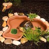 TINGTING Reptile Bath Tub, Turtle Water Bowl with Simulated Moss