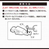 Amon Alligator Clip 8867, DC 12 V - 240 W