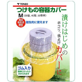 Dragonfly on a decade of Container Cover