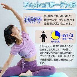 低分子フィッシュコラーゲン 100%粉末 1,000g 【低臭タイプ】【国内加工品】