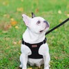 Dog Harness and Leash Set, XXS No Pull Adjustable Puppy