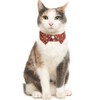 Lamphyface Fall Cat Collar Thanksgiving Day Breakaway with Bow Tie