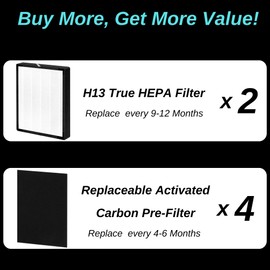 2 Pack - 45i Replacement Filter - for Breathesmart Flex Bh400 and Breathesmart 45i Air Purifier - H13 Grade True Hepa Filter - Part # B4-Fresh - B4-Pure - FL40 - FL40-pure