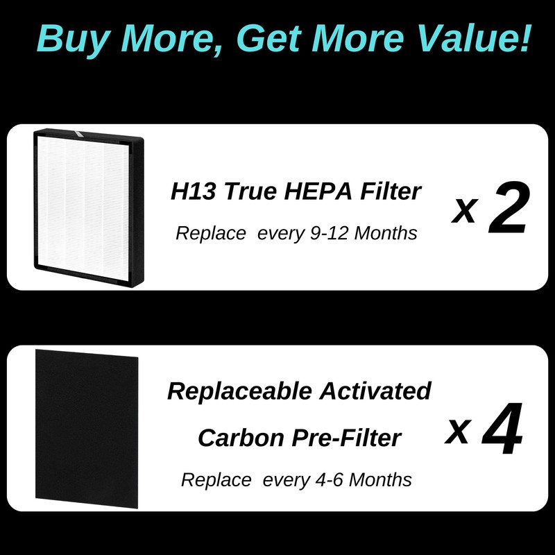 2 Pack - 45i Replacement Filter - for Breathesmart Flex