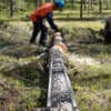 Portable Chainsaw Mill 9FT Rail Mill Guide System