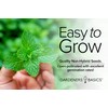 Peppermint Seeds for Planting is A Heirloom, Open-Pollinated, Non-GMO Herb