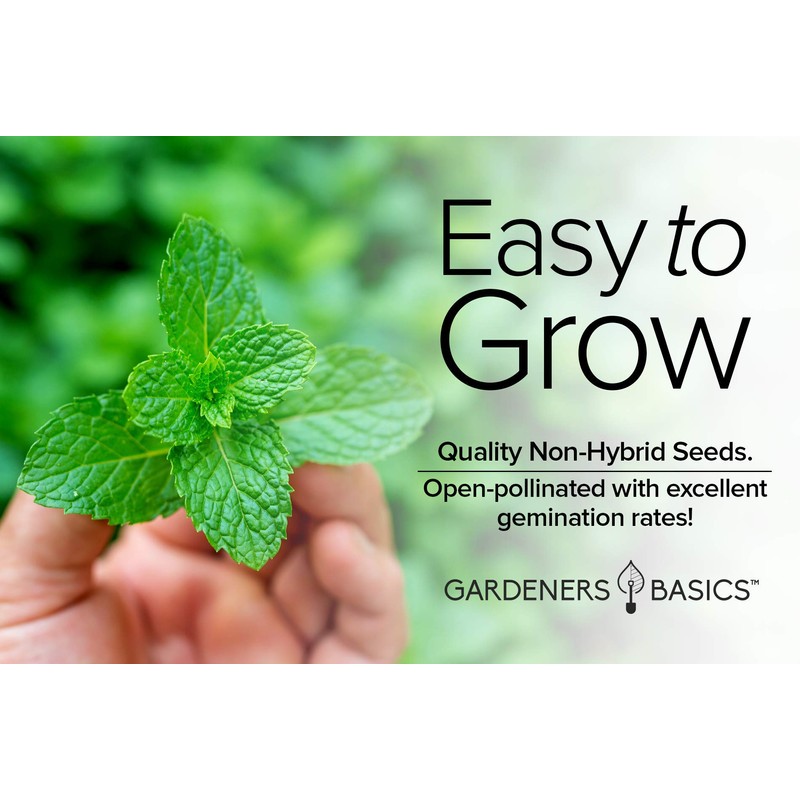 Peppermint Seeds for Planting is A Heirloom, Open-Pollinated, Non-GMO Herb
