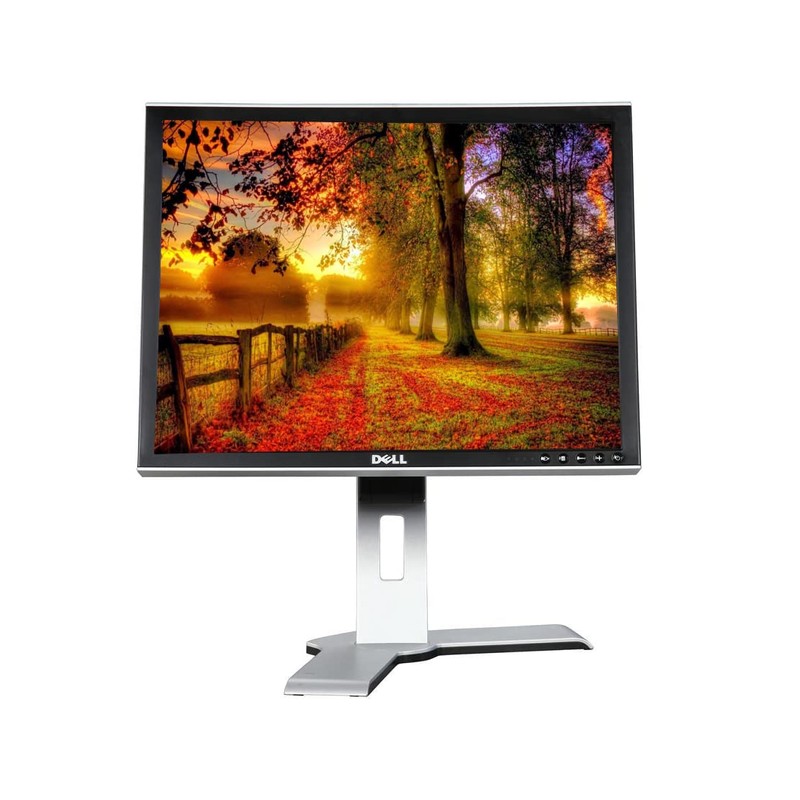 Dell P2210F Computer Desktop Tower LCD 22 Inch Monitor, VGA,