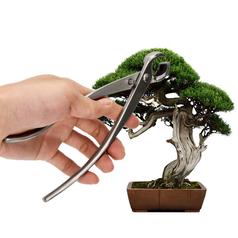 Stainless Steel Knob Cutter Bonsai Cutter Concave Cutter Gardening Tool