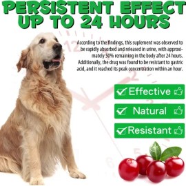 Suplemento Urinario De Perros Piedras En El Riñón Y Vejiga