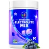 Blueberry Hydration Powder – Zero Sugar Electrolyte Drink Mix |