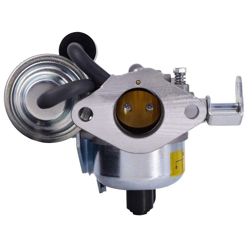 Carburetor Fits for Onan 146-0663, Carb with Gaskets 146-0577 &
