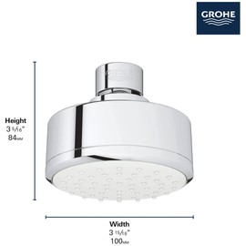 GROHE Tempesta Cosmopolitan 100 1 Spray Shower Head, Starlight Chrome