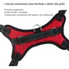 MENGTEQI Professional Dog Harness, Comfortable and Breathable, Adjustable for Small
