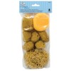 Royal & Langnickel - Crafters Choice 8pc Pack of Assorted