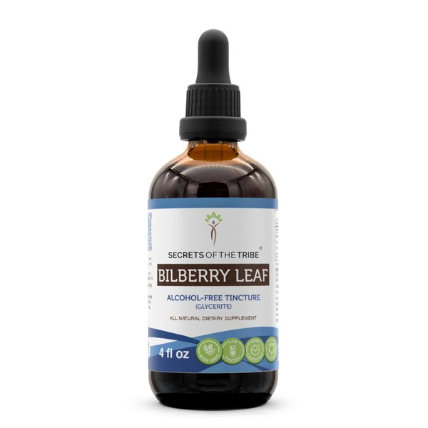 Secrets of the Tribe Bilberry Leaf Alcohol-Free Liquid Extract, Bilberry (Vaccinium Myrtillus) Dried Leaf Tincture Supplement (4 fl oz)