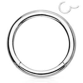 Forbidden Body Jewelry 316L Surgical Steel Hinged Seamless Nose Rings Hoop 14G 16G 18G, Diameter 6mm 8mm 10mm 12mm, Gold/Rose Gold/Silver/Black/Rainbow Colors.