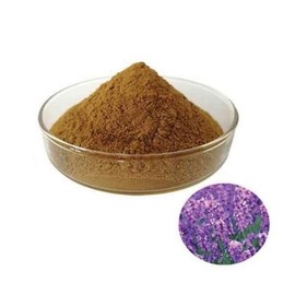 라벤더추출분말 100g Lavender Extract Powder 100g