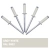 SKIR'CO Pack of 350 blind rivets painted 4.0 x 14