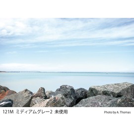 Cokin Square Lens Filter, Half Color Gradient Filter, Gray for Color Effects