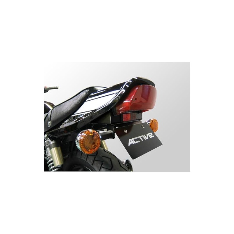 アクティブ(ACTIVE) フェンダーレスキット ブラック ZEPHYR400χ 01-08 1157037