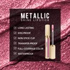 Depuplum Burgundy Lipsticks for Women Metallic Lipstick Long Lasting Non