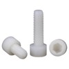 Nylon PA66 Plastic White Color Metric Knurled Hex Socket Head