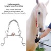 120mm Horse Mouth Snaffle with Chain Stainless Steel Horse Bit