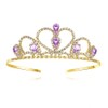 Lovelyshop Purple Gems Rhinestone Gold Tiara for Little Kid Big