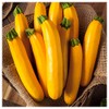 Everwilde Farms - 1 Lb Golden Zucchini Summer Squash Seeds