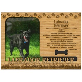 Labrador Retriever Engraved Wood Picture Frame Magnet