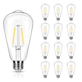 winsaLED 4000K Cool White LED Edison Bulbs 25W Equivalent, Low Wattage 2W ST19 LED Light Bulbs, Replacement Bulbs for Ceiling Light Fixtures, E26 Base, 250LM, Non-dimmable, Pack of 12