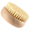 Zone Denmark Inu Bath Brush Beech Size: Small