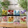 ZvveIIa Flower in A Box-DIY Building Blocks for Adults, Eternal
