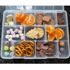 LAifu 2PCS Plastic Stackable Organizer Container with Adjustable Dividers, Snack
