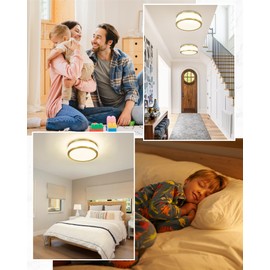 LMS 24W LED Flush Mount Ceiling Light, 15 inch 3CCT 3000K/4000K/5000K, Brushed Gold Close to Ceiling Light for Bathroom, Kitchen, Living Room, LMS-190