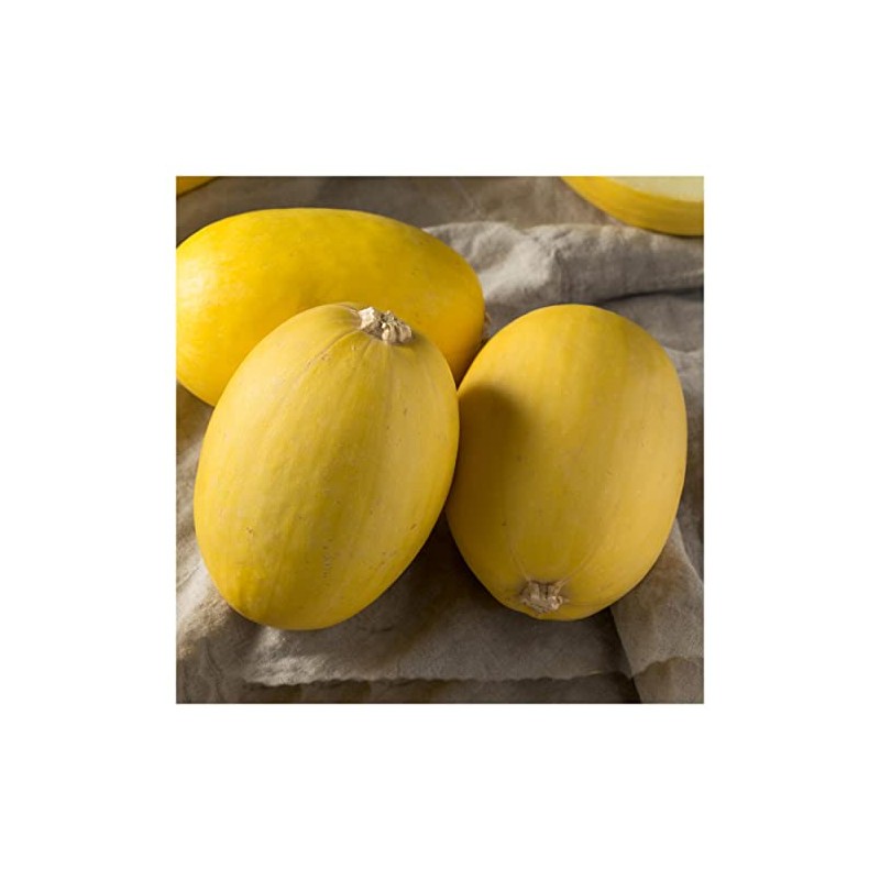 Everwilde Farms - 1/4 Lb Organic Vegetable Spaghetti Winter Squash