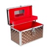 Aluminium Hard Make Up Travel Storage Box Cosmetic Beauty Vanity