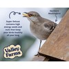 Valley Farms Super Deluxe Wild Bird Food (15 LB) for