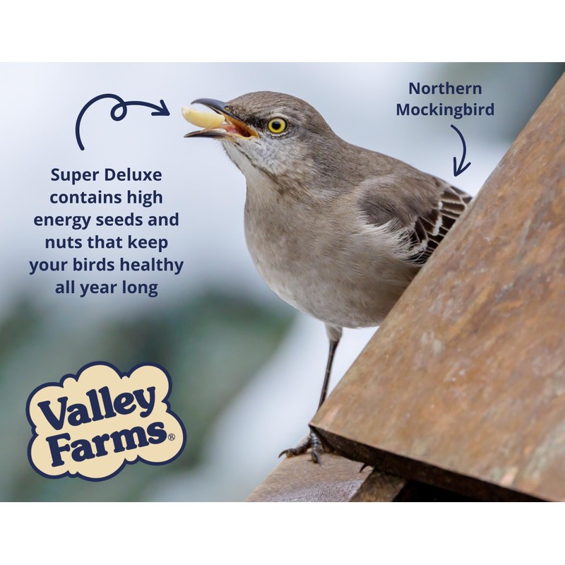 Valley Farms Super Deluxe Wild Bird Food (15 LB) for