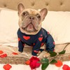 Spark Paws Dog Pajama, Dog Recovery Suit Male, Onesie, Ultra-Soft