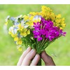 Fragrance Bouquet Flower Rocket Seed Disc - Concentrated Flower Planting
