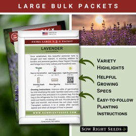 Sow Right Seeds - Bulk Lavender Seeds for Planting - 1.5 Grams, 1500 Seeds - Non-GMO Heirloom Jumbo Pack with Instructions to Grow an Indoor or Outdoor Herb Garden - Grow Loads of Purple Blooms