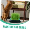Levemolo 5Pcs Soilless Cat Grass Planter Set Hydroponic Catnip Box