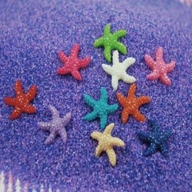 Hottracks Mini model starfish (WFIVFTE) / 미니 모형불가사리 불가사리(WFIVFTE)