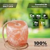 Himalayan Salt Lick for Horses, Livestock– (3-4 lbs) Natural Mineral