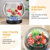 hygger 0.5 Gallon/1 Gallon Glass Fish Bowl with LED Light