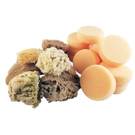 Royal Brush Wool Sea Sponge Assortment, 2-1/2 in Dia X 1-1/4 in Thickness, 4-5 in in, Set of 36