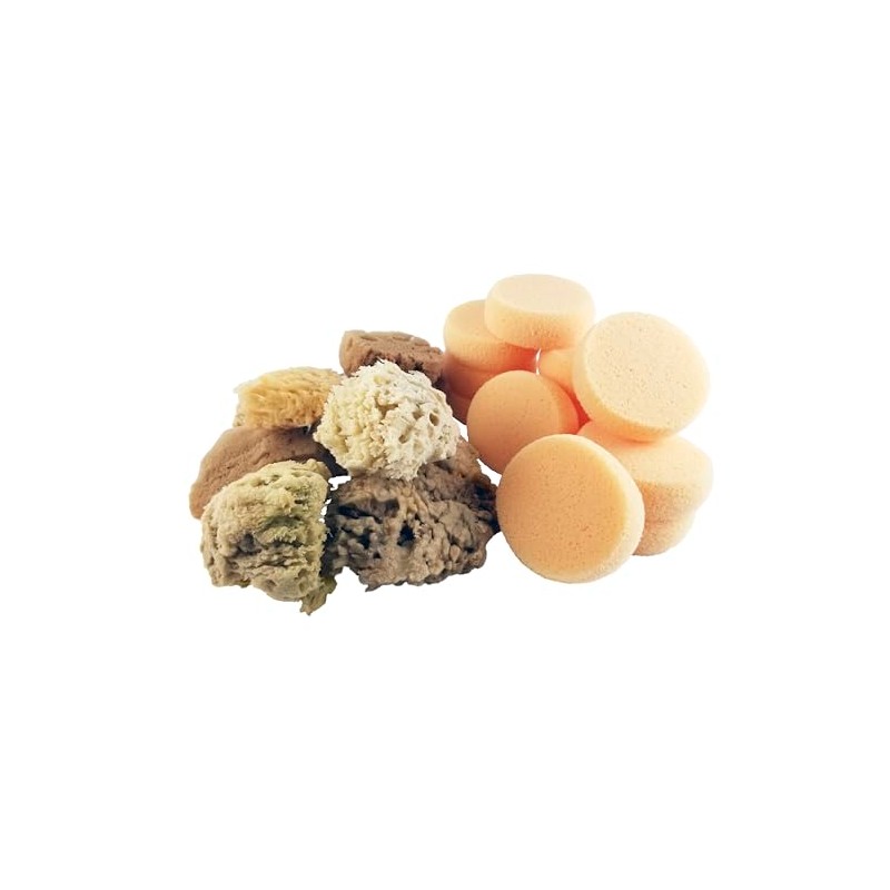 Royal Brush Wool Sea Sponge Assortment, 2-1/2 in Dia X
