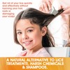 Lice Comb - (Pack of 2) Stainless Steel Professional Lice